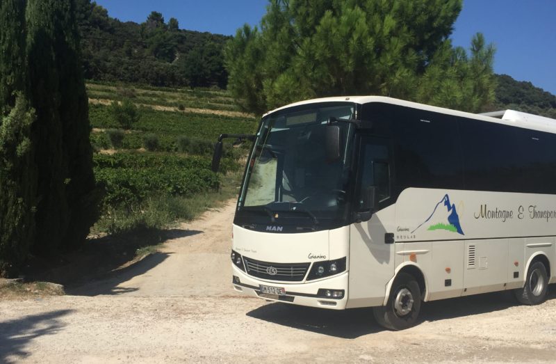 My bus